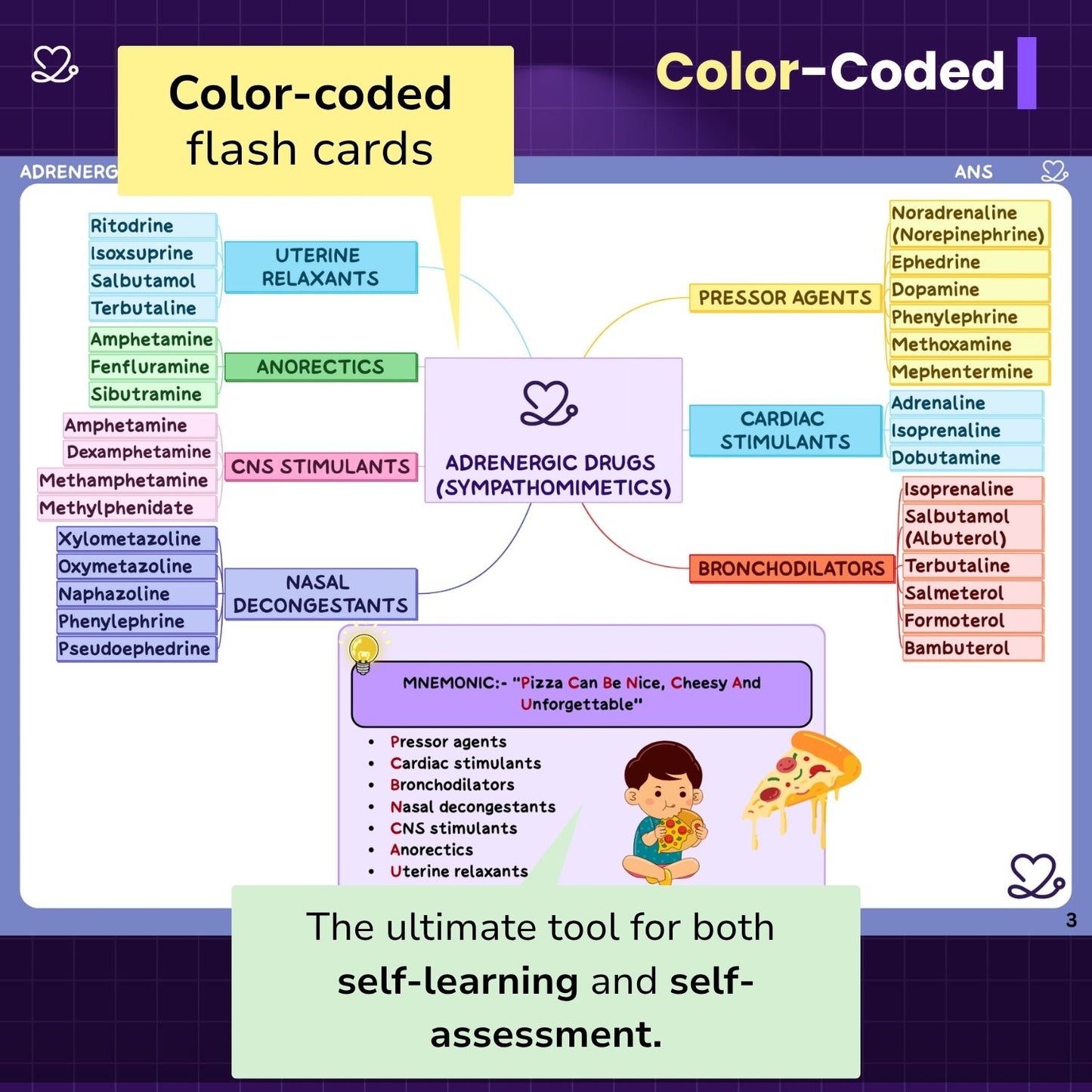 Pharmacology Flashcards