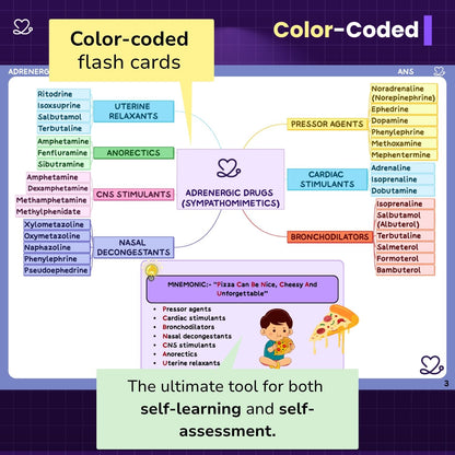 Pharmacology Flashcards