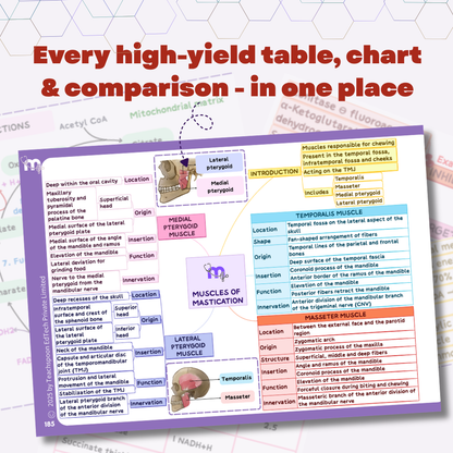 Dental Anatomy and Dental Histology