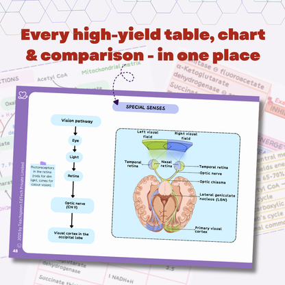General Anatomy (MBBS/BPT)