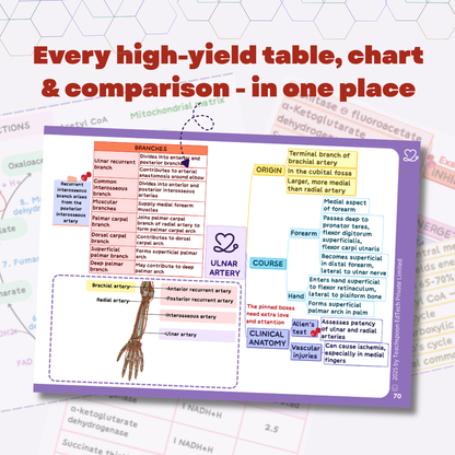 Upper Limb and Lower Limb (MBBS/BPT)