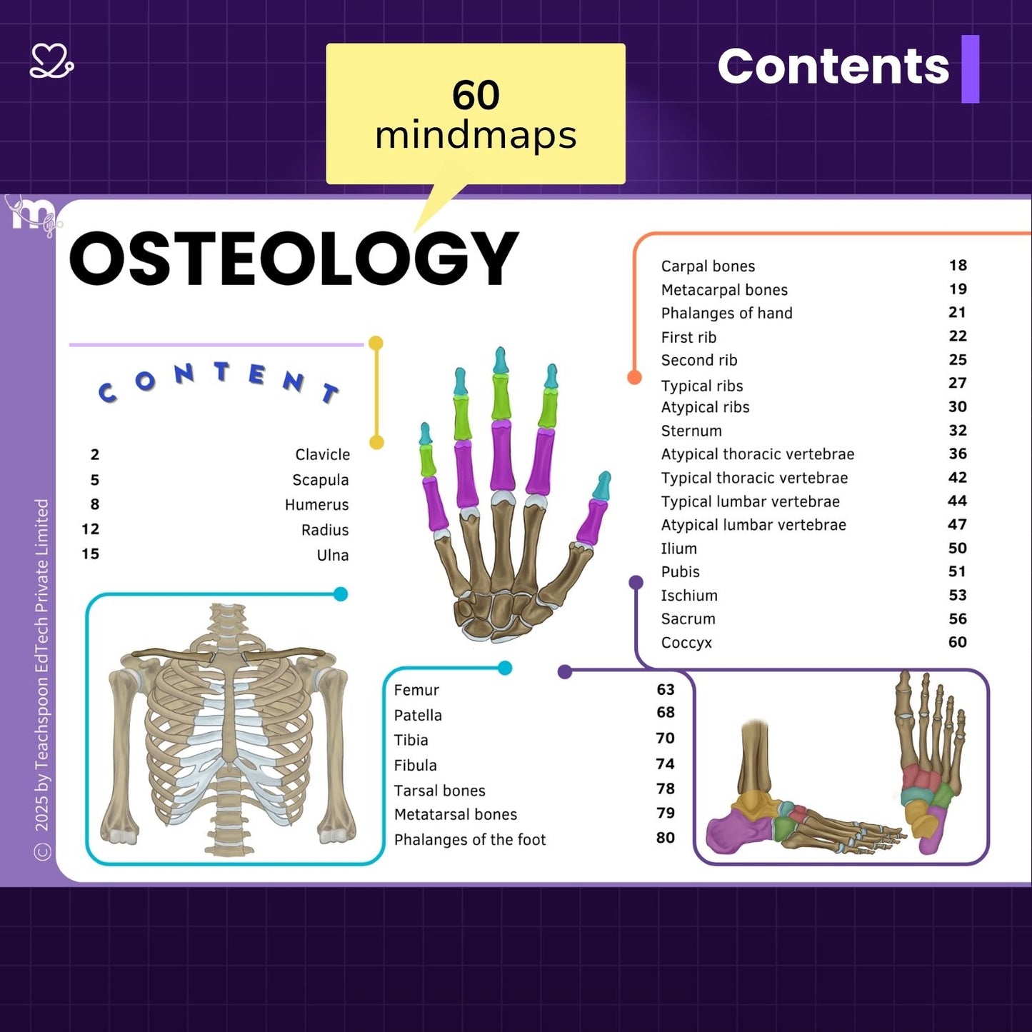 Anatomy bundle + General Anatomy + Osteology