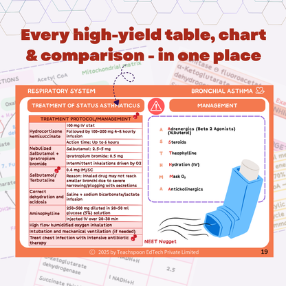 Pharmacology Flashcards