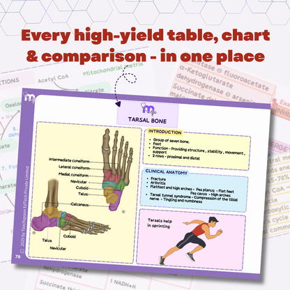 Osteology (MBBS/BPT)