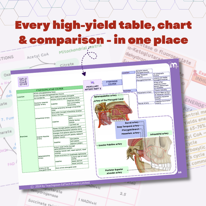 Head and Neck (MBBS/BPT)