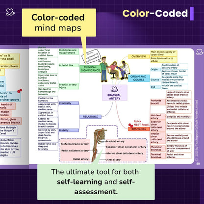Upper Limb and Lower Limb