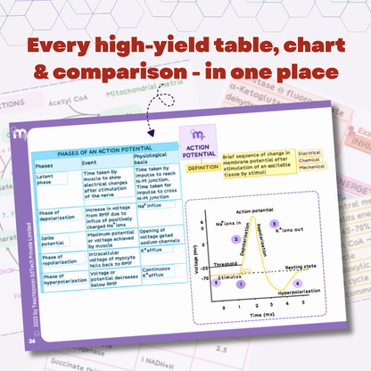 Physiology - BDS
