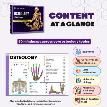 Osteology (MBBS/BPT)