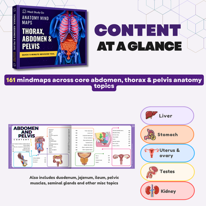 Abdomen, Thorax and Pelvis (MBBS/BPT)