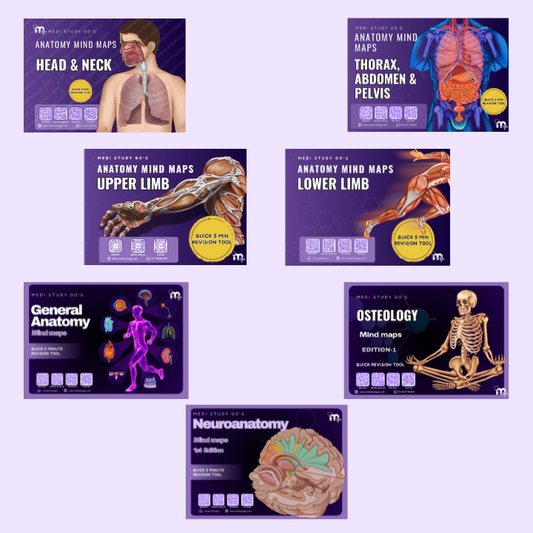 Anatomy (Upper Limb + Lower Limb + Head and Neck + Abdomen Thorax and Pelvis + General Anatomy + Osteology + Neuroanatomy