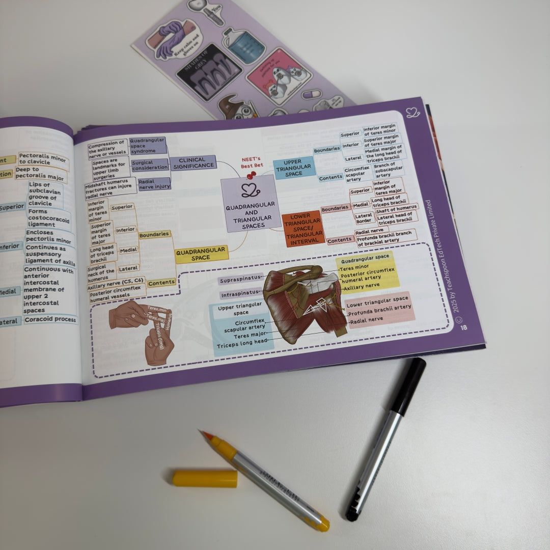 Upper Limb and Lower Limb