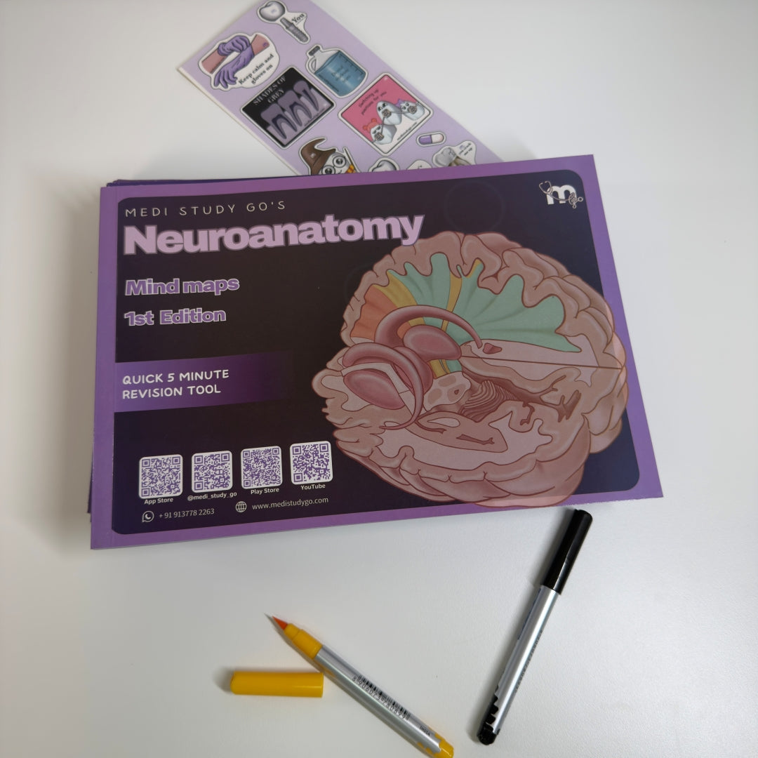 Neuroanatomy