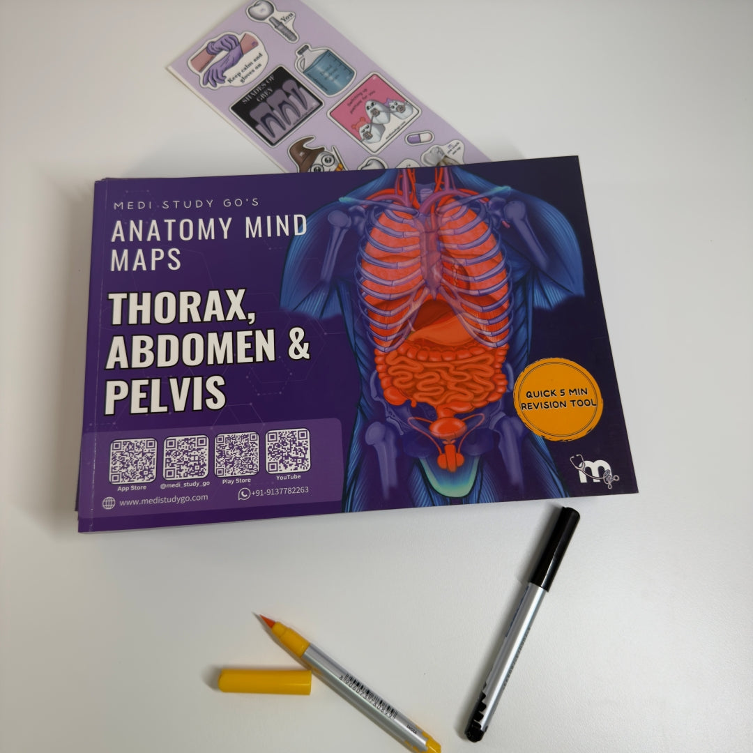 Abdomen, Thorax and Pelvis