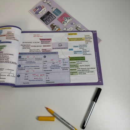 Biochemistry (MBBS)