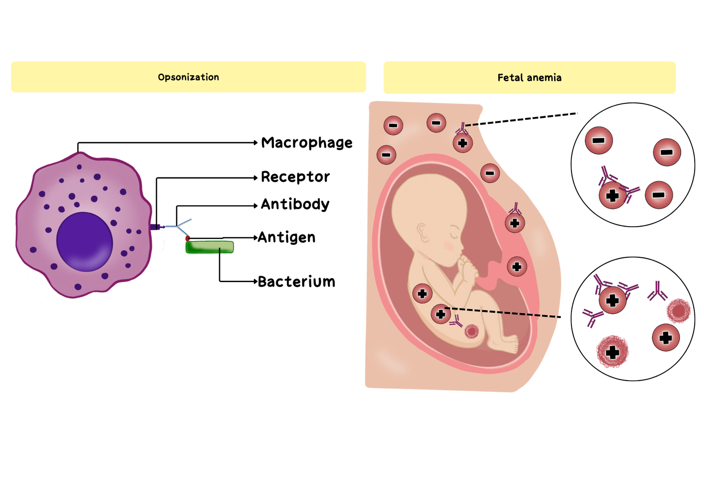 Nursing Biochemistry