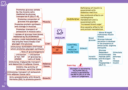 Nursing Physiology