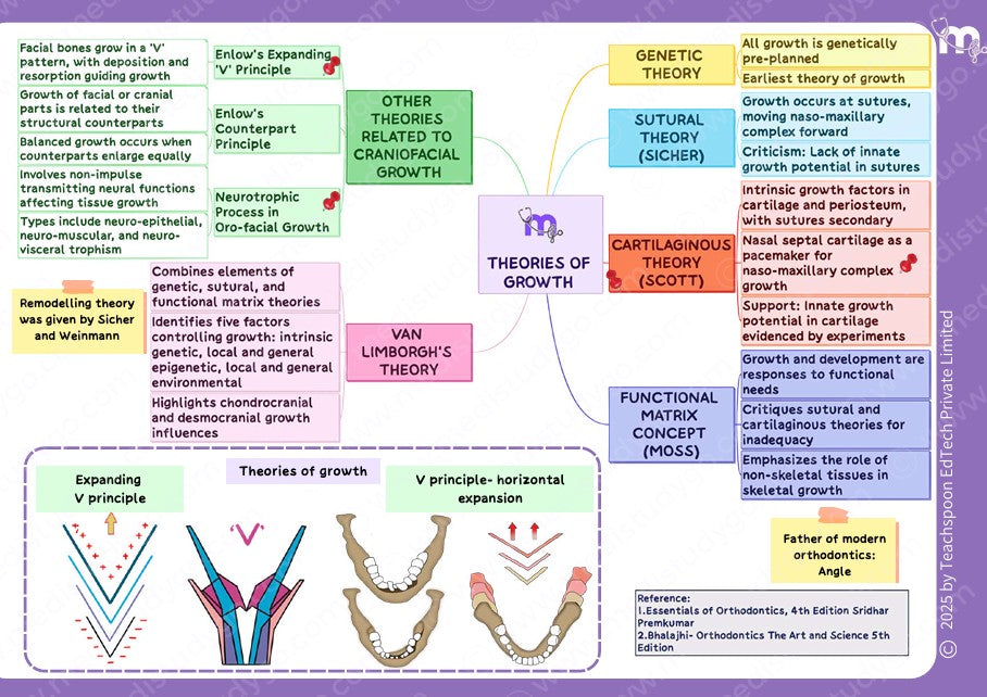 Orthodontics