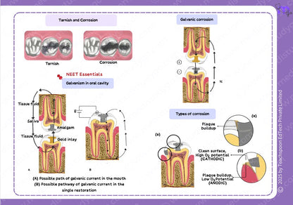 Dental Materials
