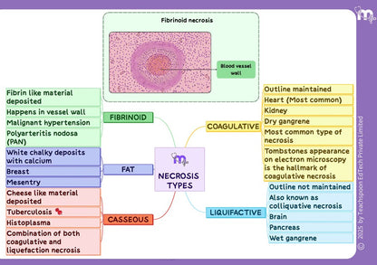 General Pathology and Microbiology combo
