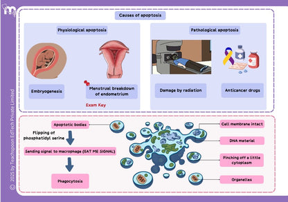 General Pathology and Microbiology combo