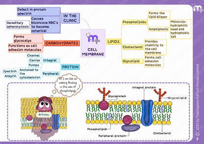 Physiology - BDS