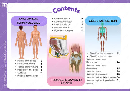 Anatomy bundle + General Anatomy + Osteology