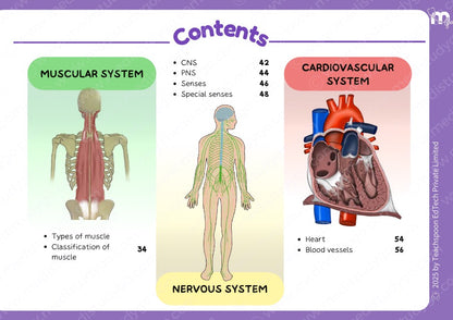 Anatomy bundle + General Anatomy + Osteology