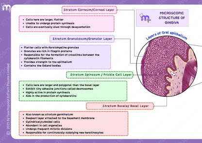 Periodontics
