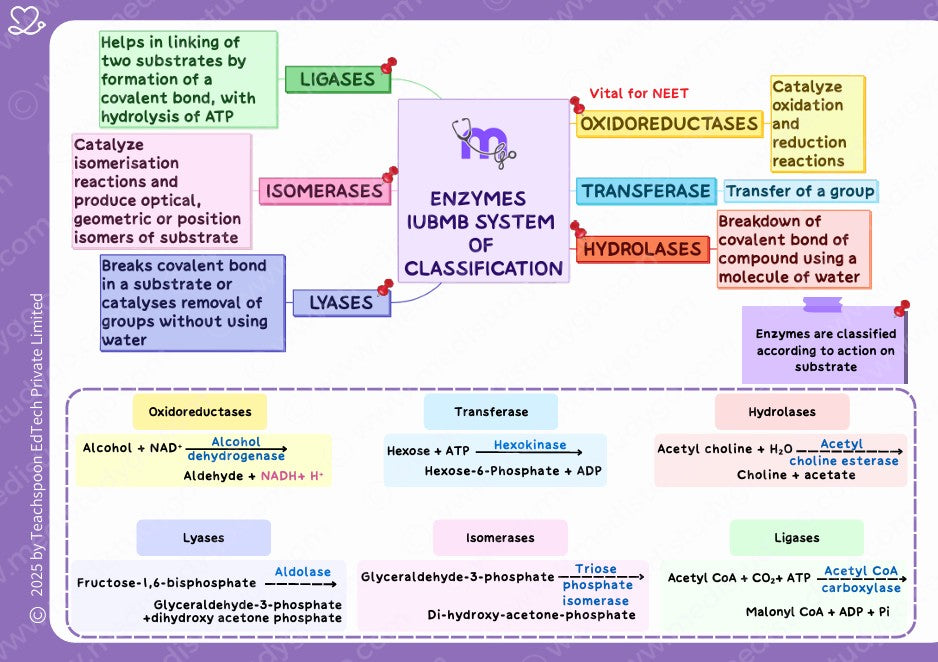 Biochemistry (MBBS)