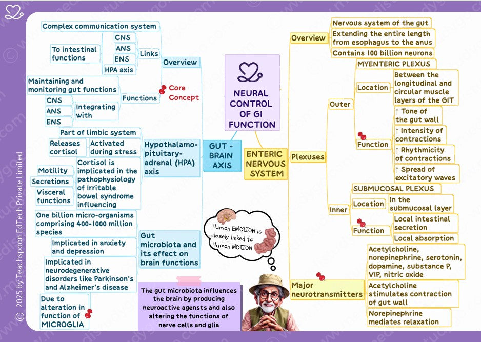 Physiology (Nursing)