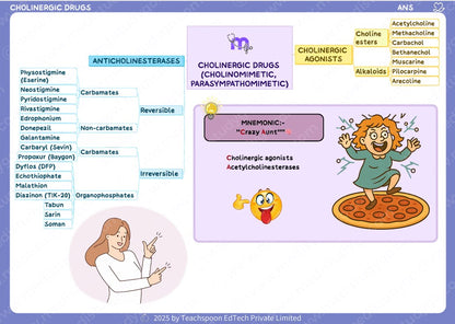 Pharmacology Flashcards