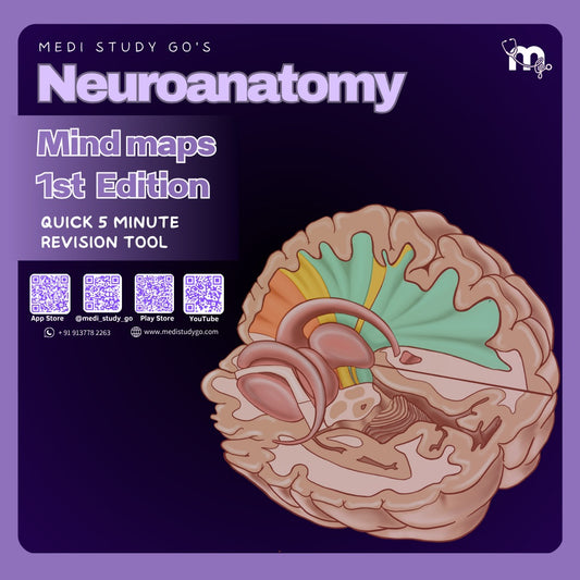 Neuroanatomy