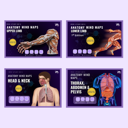 Anatomy bundle (UL, LL, Head and Neck, Abdomen Thorax and Pelvis)