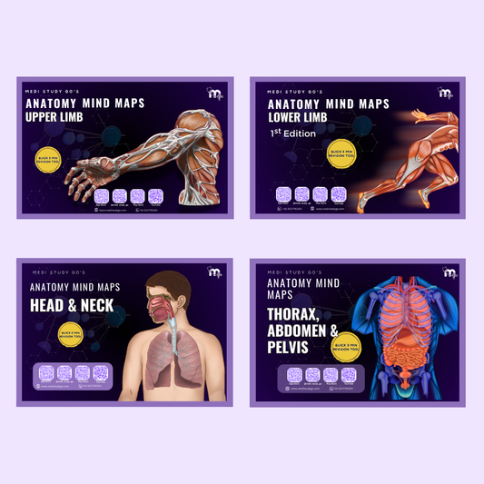 Anatomy bundle (UL, LL, Head and Neck, Abdomen Thorax and Pelvis)