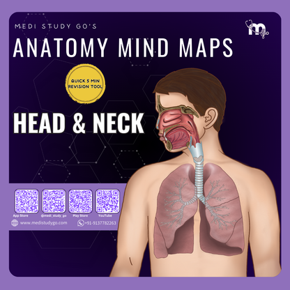 Head and Neck