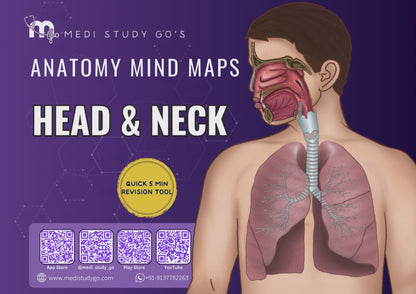 Head and Neck