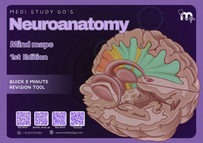 Neuroanatomy