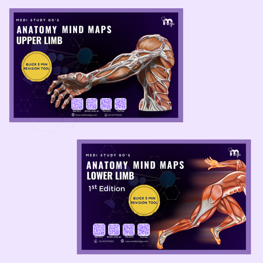 Upper Limb and Lower Limb