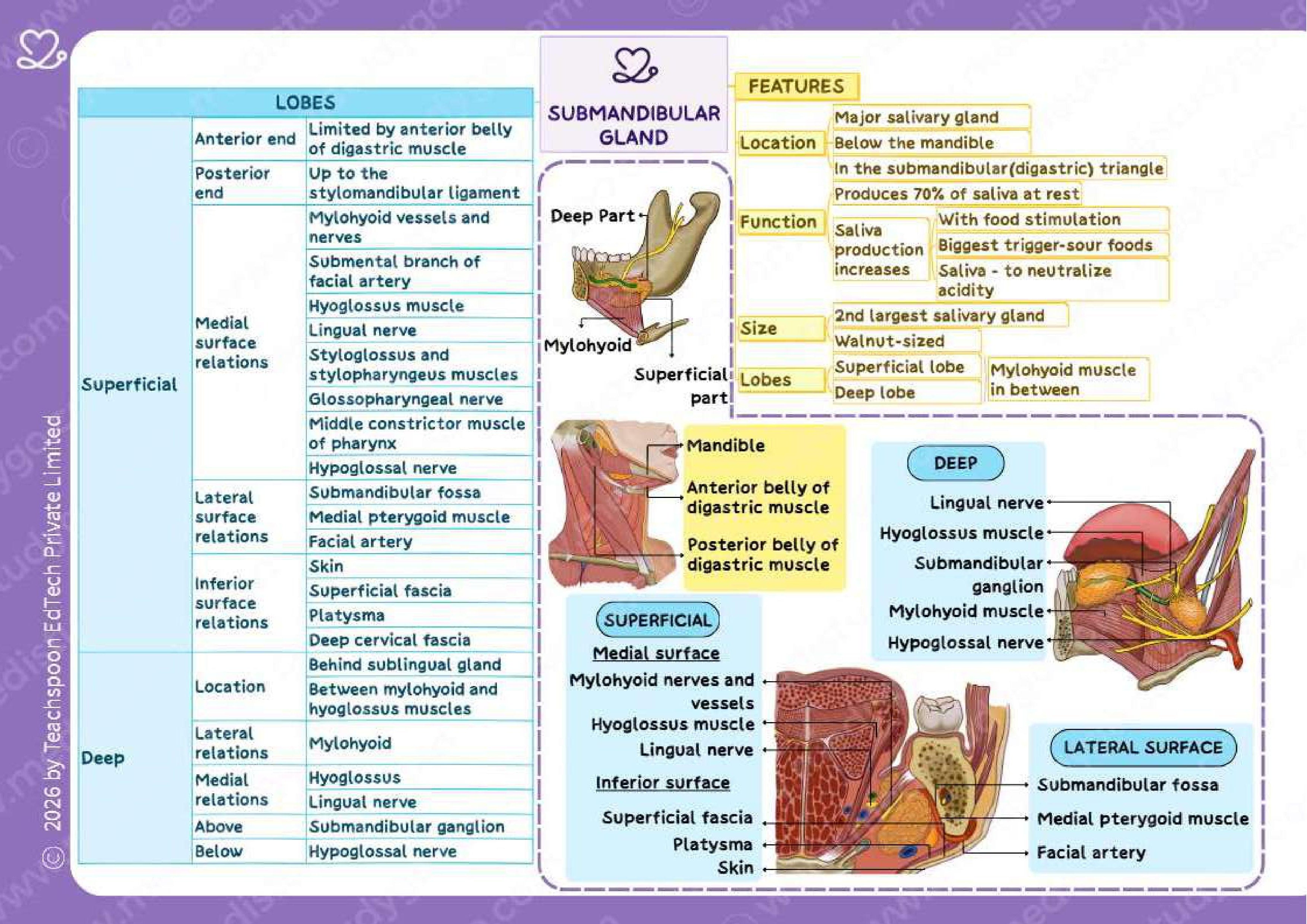 Flip page 3